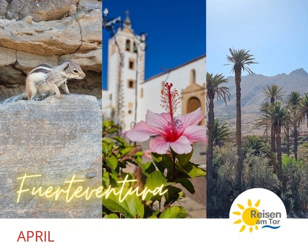 Fuerteventura